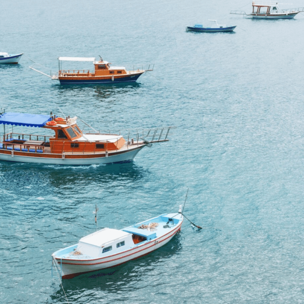 Bottom Fishing Charter – Muscat